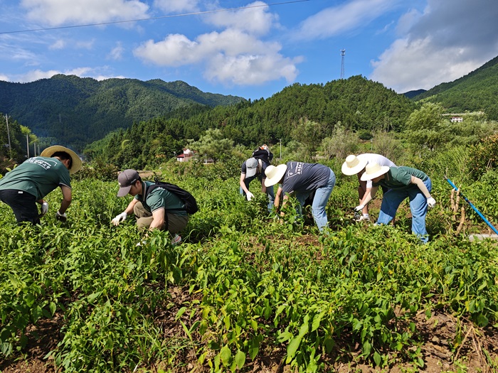 /crm/product/image/20250724/1753327139746069232.jpg 1753327139746069232.jpg